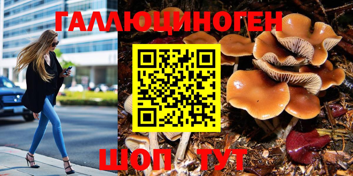 Верхняя Салда  Псилоцибиновые грибы GOLDEN TEACHER  Вход с VPN 